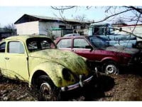 Proprietarii de rable ar putea fi despăgubiți de Primărie