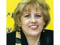 Angela Zarojanu face apel la colegii de coaliție pentru podul din Ițcani