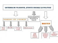 Filosofie, Științe sociale și politice