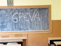 Socializare, dar și predare !