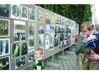 Strada a fost conectată la rememorarea durerii