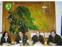 Direcția Silvică „taie macaroana” samsarilor de lemn