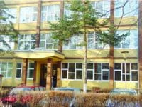 Virusul AH1N1 închide o clasă la Colegiul de Informatică
