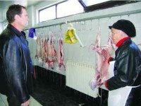 Fermierii autohtoni vând carnea de miel „ecologic” cu 20 lei kilogramul