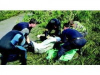 Potopul a lăsat în urmă 6 morți