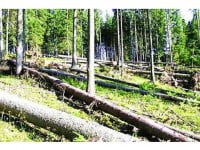 Suspiciuni de practicare a unor prețuri preferențiale