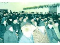 Obștenii arboreni știu că ei sunt puterea