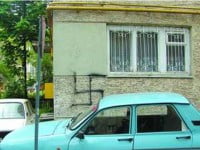 Zvasticile se înmulțesc